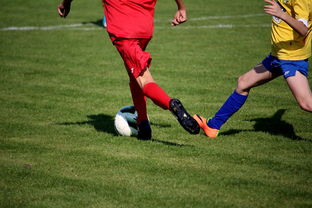 九游网页版官网-国际足球俱乐部青训论坛在广州召开，国际足联青训补偿标准